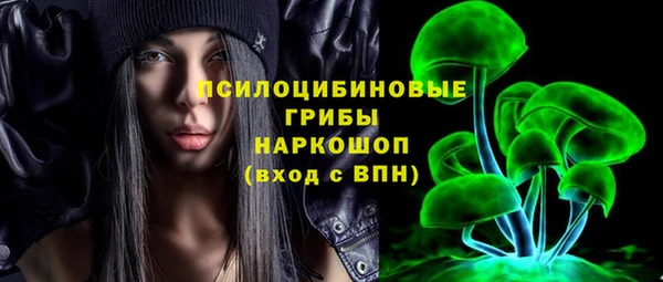 тгк Алексин