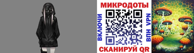 Псилоцибиновые грибы Psilocybe  где продают   даркнет какой сайт  Павловская 
